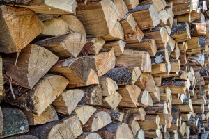 Bois de chauffage Eté