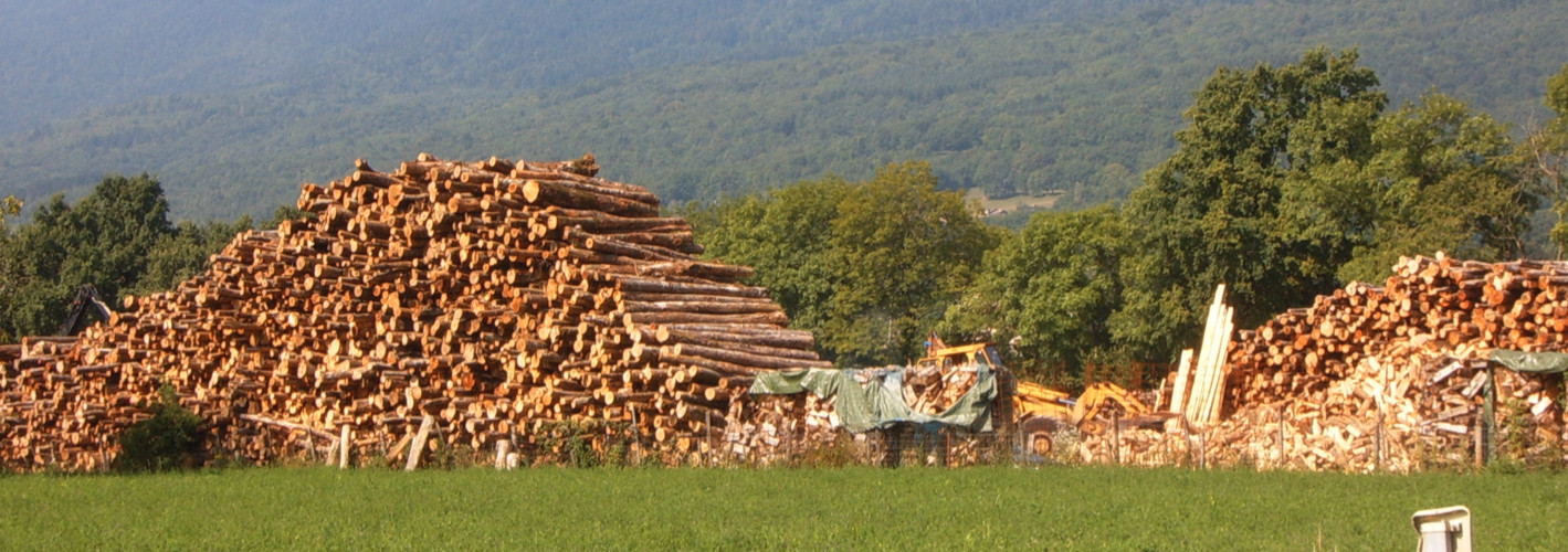 Bobois énergie - Bois de chauffage